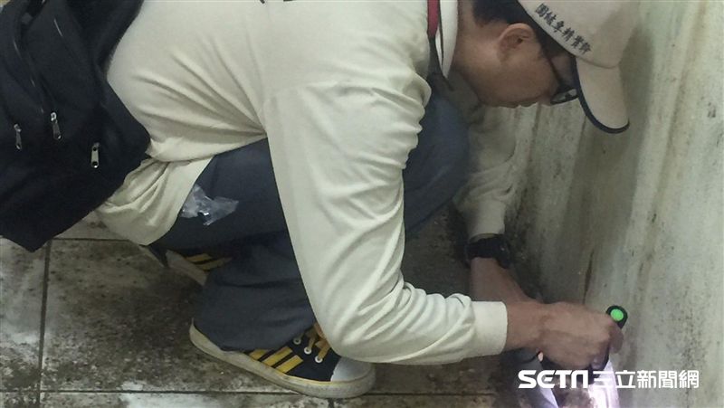開山里又被點名！她得登革熱竟無症狀