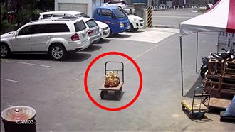 太子爺集體「兜風」逃家　網友笑翻