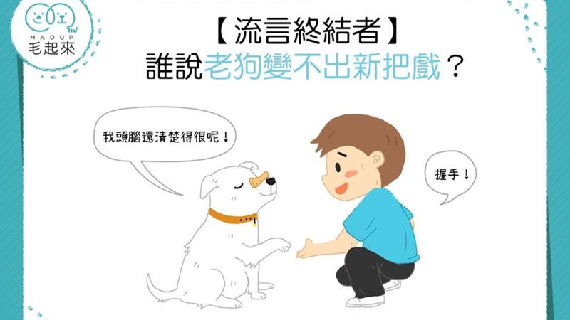 流言終結者！誰說老狗變不出新把戲