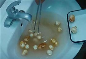 高雄,小港機場,海洛因,灌腸,人體運毒