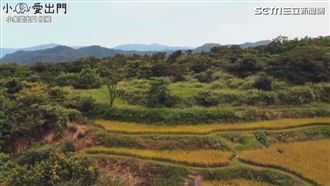 台灣百年秘境　一日淡蘭古道必玩行程