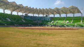 農田外首例　秋行軍蟲現蹤台南球場草皮