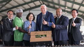 蔡英文「自由民主永續之旅」聖露西亞（圖／翻攝自蔡英文臉書）