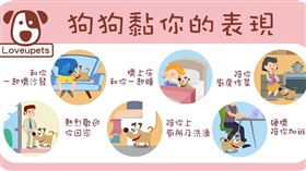 ▲狗狗黏你的表現（圖／愛你寵物網loveupets提供）