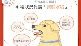 名家專用／毛起來MAOUP（勿用）
