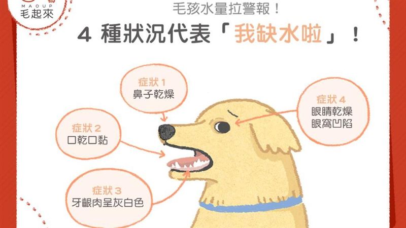 4種狀況代表毛孩缺水啦！