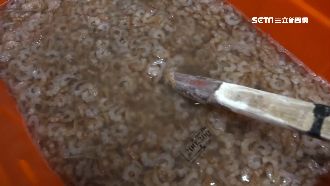 檢舉食安獎金僅7.2萬　控衛局輕罰