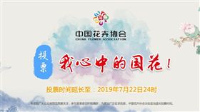 中國「投票」選國花！牡丹聲勢強　網友卻愛韭菜都投它（圖／翻攝自中國花協官網）