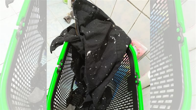人妻見雪花褲暴怒！達人曝神招秒去屑