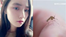 被蚊子叮…21歲正妹呼吸衰竭 慘住院一年！(圖/翻攝自齊魯晚報、資料照)