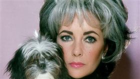 （１６：９）寵物,主人,撞臉,推特,神似（圖／翻攝自推特）