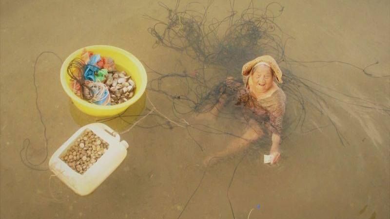 撿貝養精障女　阿嬤泡海水泡到皮膚裂
