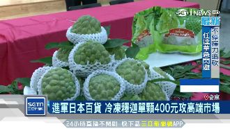 台東冷凍釋迦銷日本　日導演讚像冰沙