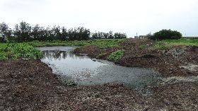 食品加工污泥倒農田　業者地主聲押獲准