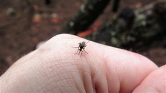 屈公病襲台！30天圍堵土城疫情關鍵