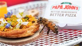 蜜蜂,披薩,迷你,連鎖, Papa John's, Beezas。(圖/翻攝自YOUTUBE)