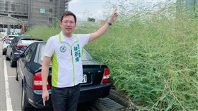 台中市,林祈烽,治安,雜草叢生,清理