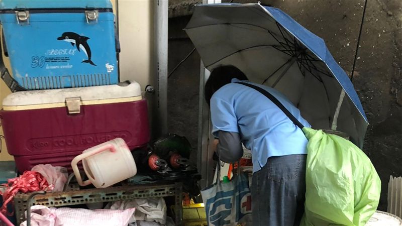 0719水災後　高市女童確診登革熱