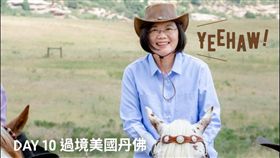 翻攝蔡英文LINE群組