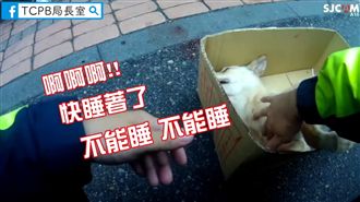 浪犬被撞吐血命危！暖警急喊：不要睡