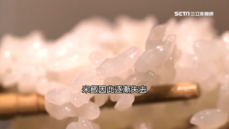 暖化重創日農產！越光米未來恐難吃到