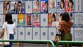 日本,參院選舉,投票率