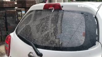 「彈弓怪客」毀5車　擋風玻璃全碎裂