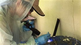 台南市,巴克禮公園,登革熱,休園,防治