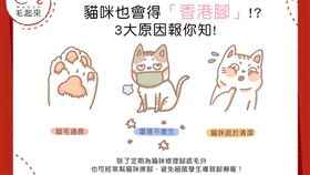 名家專用／毛起來MAOUP（勿用）