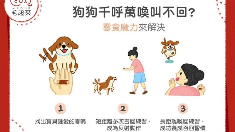 狗狗千呼萬喚叫不回？零食魔力來解決