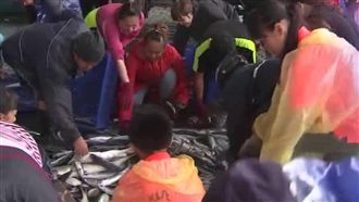 夢想自己追！射箭隊搶魚賣辣椒籌旅費