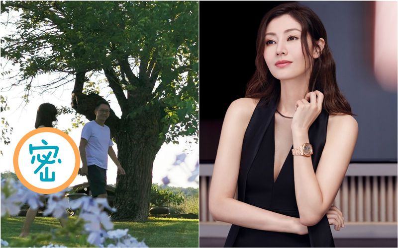 李嘉欣勾富尪放閃　透視薄紗胸腿全露