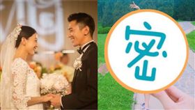 高圓圓產後首露面 圖/微博