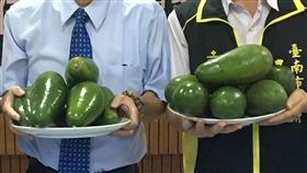 台南市,佳里區,酪梨,栽培,新興產地