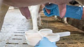 打工,度假,澳洲,臉書,崩潰,半套,擠牛奶,試探,遠距離,戀愛,　圖／翻攝自Pixabay https://parg.co/MhP