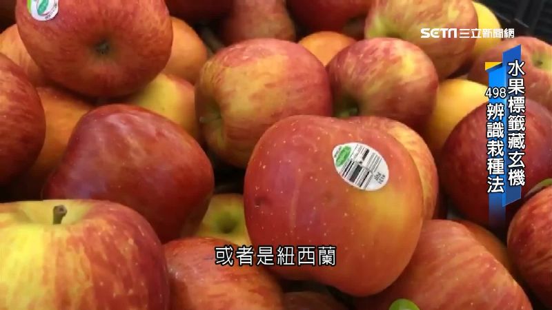 內行看門道！進口水果標籤辨栽種法