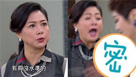 炮仔聲,江宏恩,陳小菁,潑水,八點檔,親家母