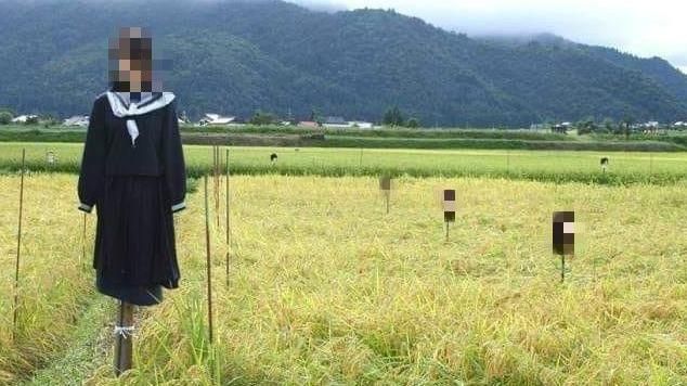 他在農田拍到「女鬼」！網友一看腿軟