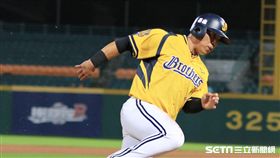 中華職棒兄弟隊陳子豪於九局順利得分。（記者林士傑/攝影）