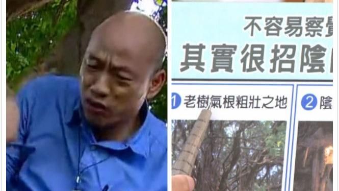 韓爬樹拚滅蚊　命理師：這舉動恐犯煞