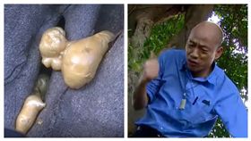 韓國瑜，發泡棉