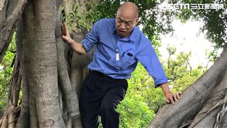韓國瑜攀樹尋蚊？網友：真的「樹民」
