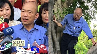 高處樹洞怎解？韓：剪樹、光照、風吹