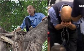 韓國瑜 爬樹 組合圖 資料照