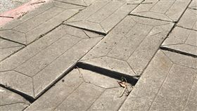 老婦摔傷提國賠　北市拒絕（2）周婦日前坐輪椅行經永吉路附近人行道，因舖面不平導致摔傷，事後提國賠遭拒。台北市新工處27日表示，國賠會認為路面不平和民眾受傷無因果關係，無須賠償。圖為現場人行道。（議員王鴻薇辦公室提供）中央社記者劉建邦傳真　106年10月27日