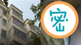 衣櫃後方莫名發出「詭異聲響」⋯他找人一拆嚇呆了：15公斤巨型巢穴現形！(圖/翻攝自微博)