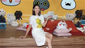嚴立婷,反應過激的貓（圖／記者邱榮吉攝影）
