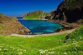 ▲禮文島自然生態豐富（圖／shutterstock.com）