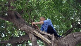 韓國瑜爬樹(高雄市政府提供)