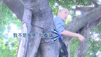 韓國瑜爬樹視察登革熱！網諷：變樹民